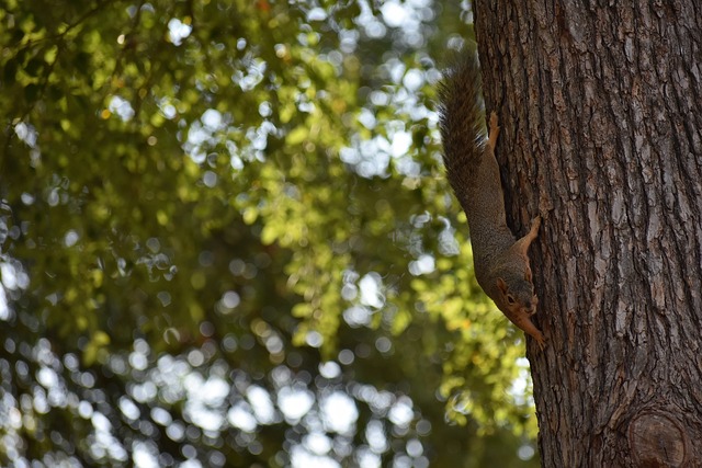 发球不仅影 发球不仅影