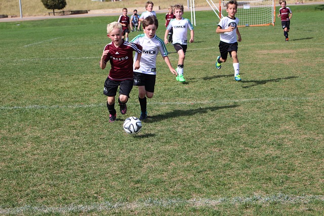 天才儿童 天才儿童