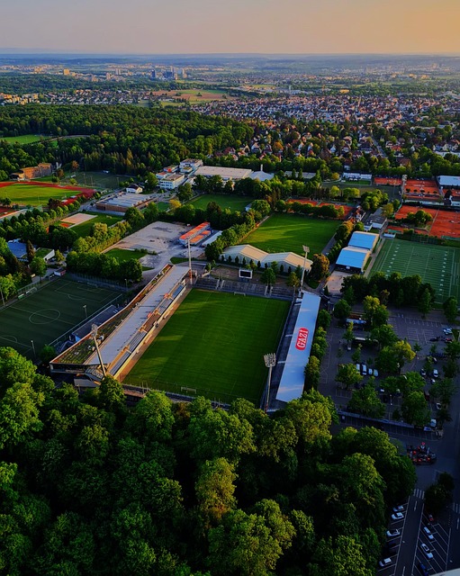 让他充分发 让他充分发