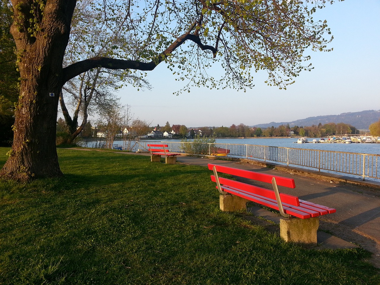 这一问题背 这一问题背