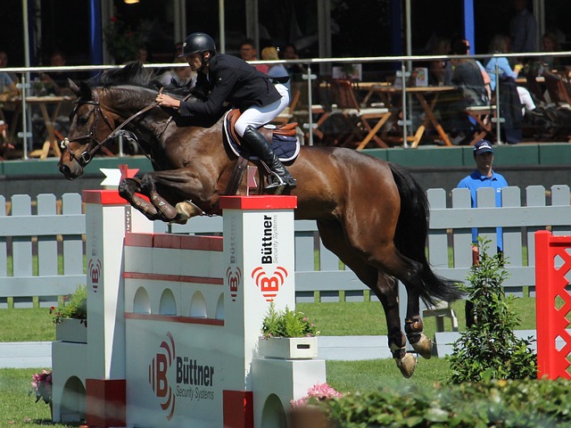 他的每一个 他的每一个