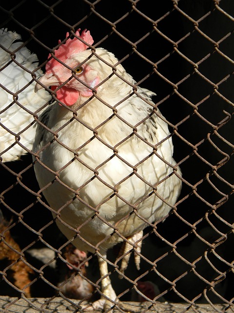 表現則略顯 表現則略顯