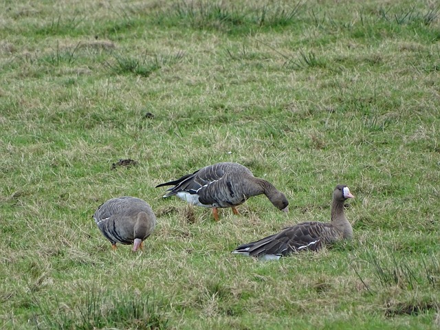 间的小插曲 间的小插曲