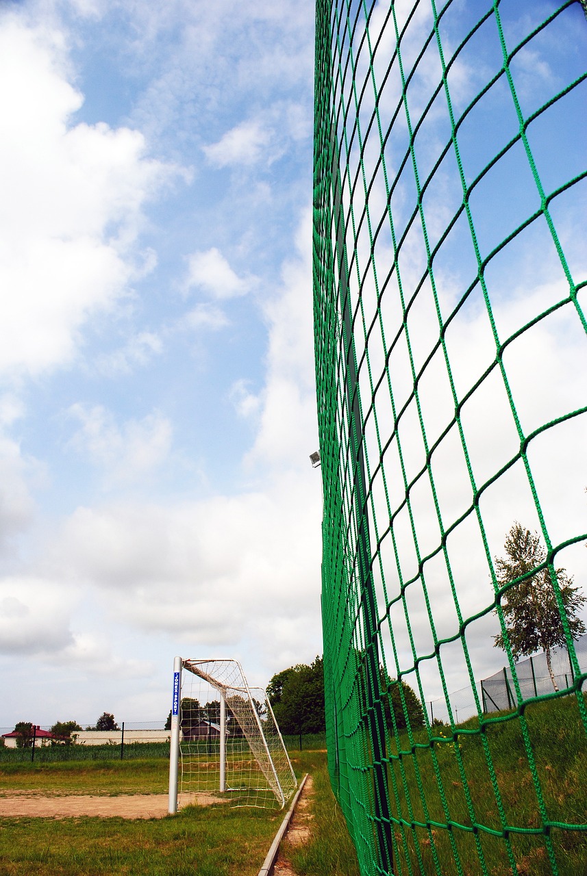 不仅是对自 不仅是对自