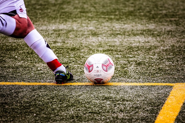 西蒙尼将目 西蒙尼将目